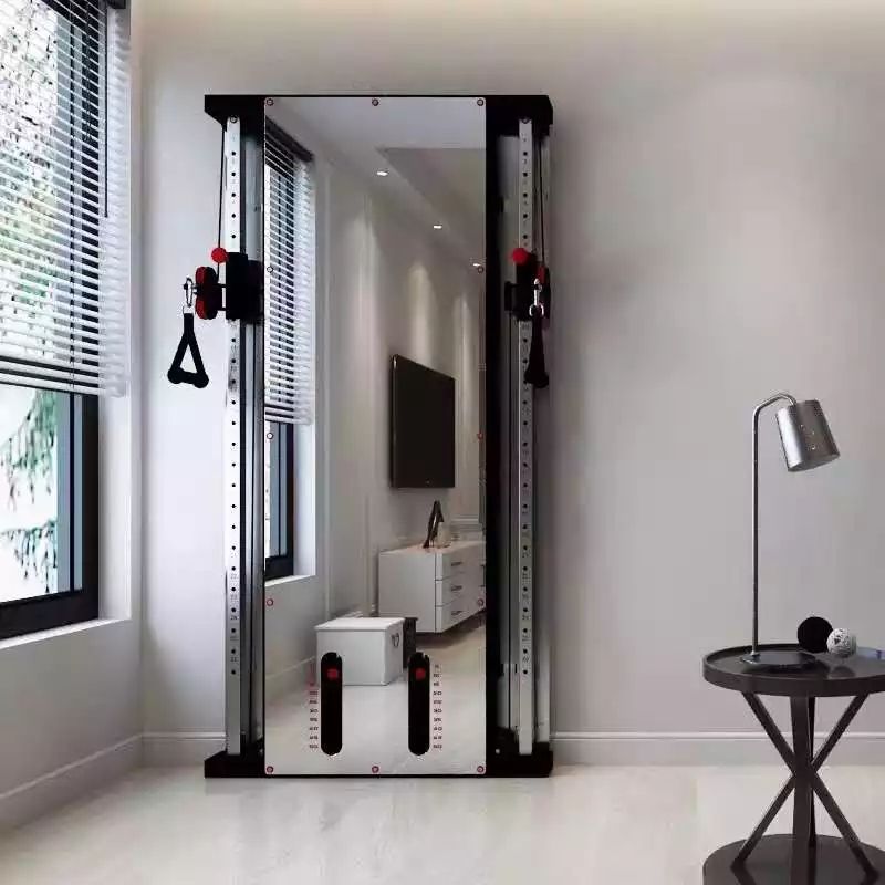 Equipo de Gimnasio Funcional c - Functional Trainer Cable Machine reseña y precio